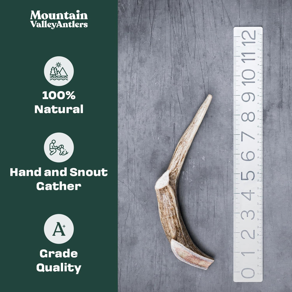 Mountain Valley ramure de cerf – texture naturelle favorisant une mastication efficace.