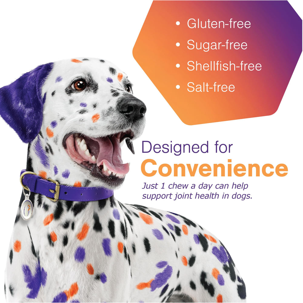 Movoflex Gommes Molles – soutien des hanches et articulations pour chiens moyens.