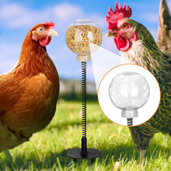 Moyardow – bouteille transparente, remplissage facile pour l’alimentation des poules.