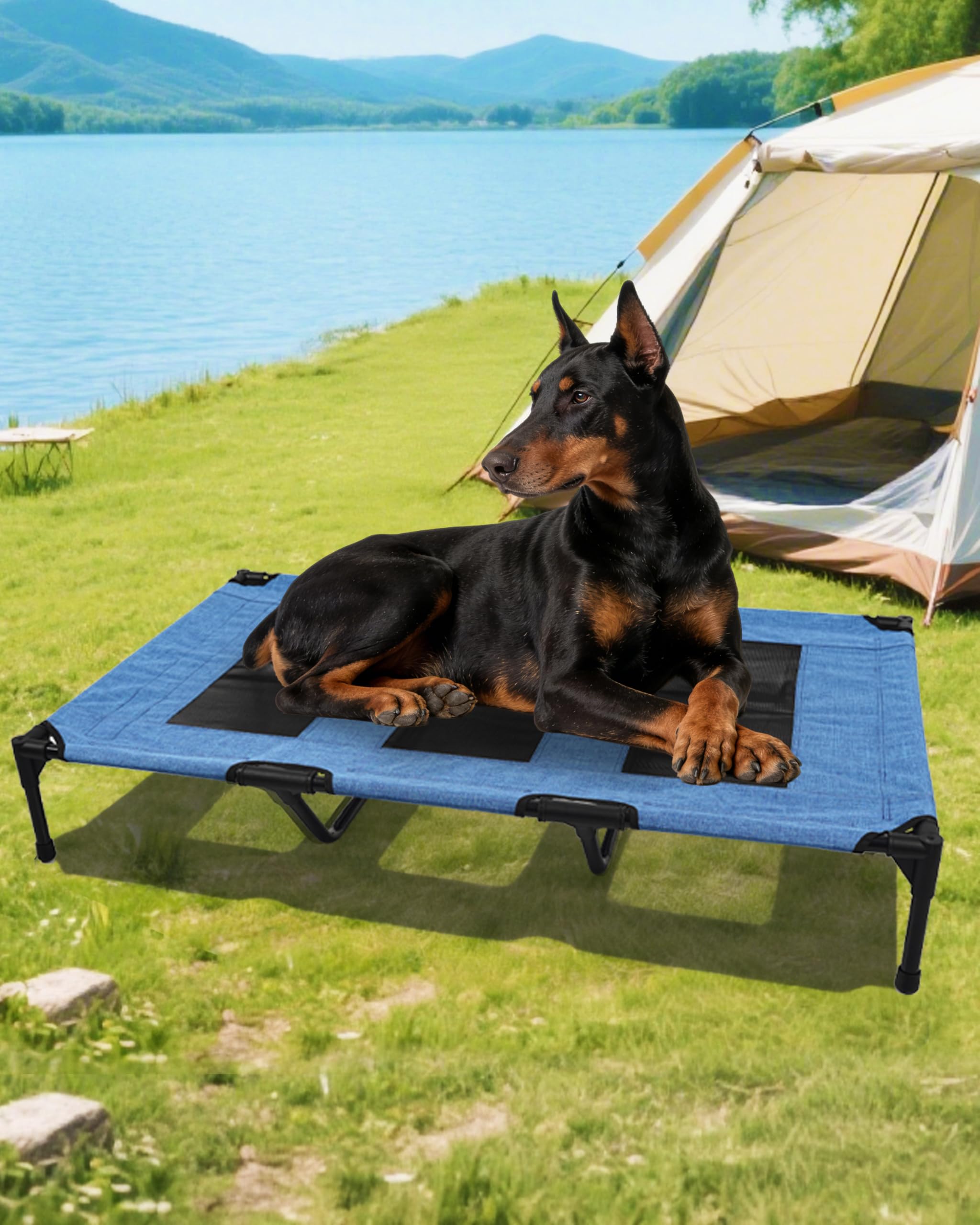 Moysoon dortoir chien élevé en acier, stabilité renforcée pour un repos sûr.