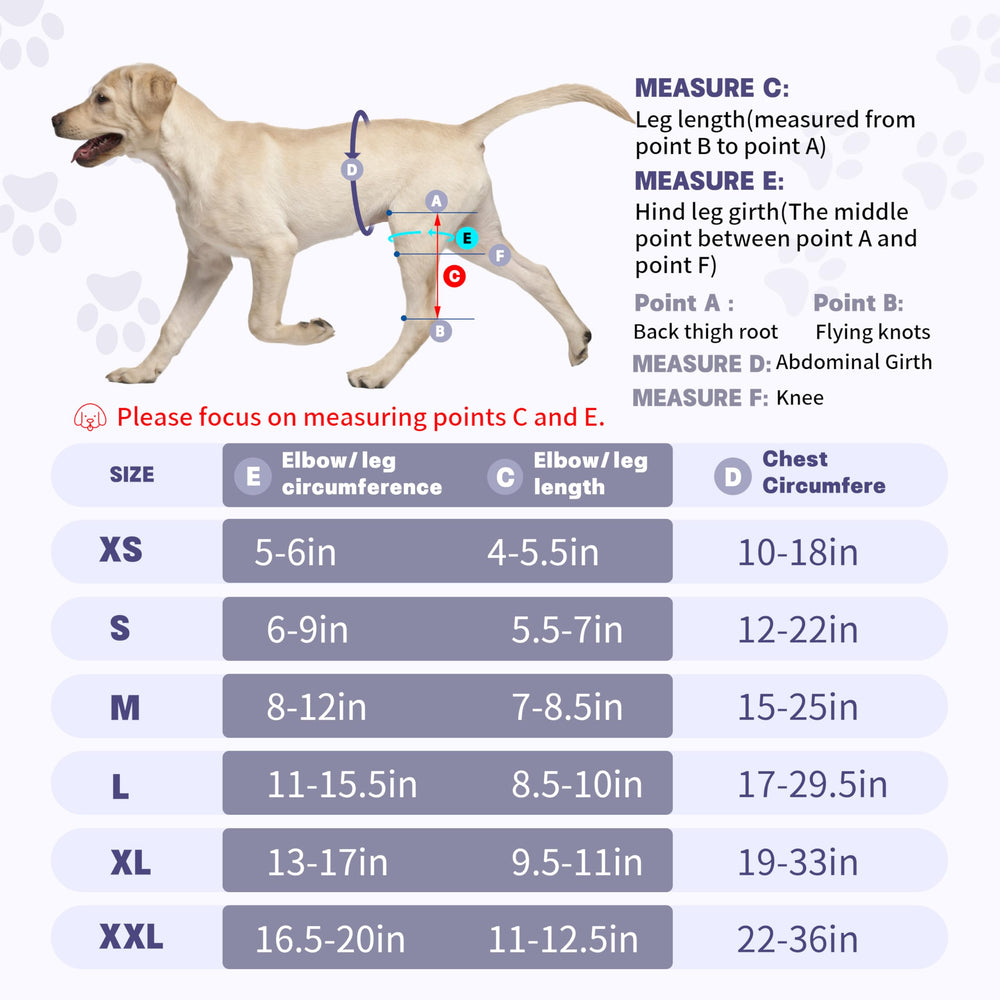 Moysoon Attelle Genou-Chien: protection pendant l'exercice et réduction de la charge.