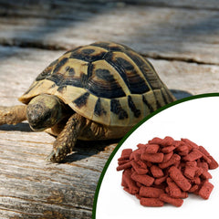 Mozaic tortue granulés réhydratés au besoin, idéal comme complément ou purée.