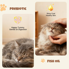 M-PETS mpets-chat-apprecie-gouter-proteine: goût convaincant qui peut encourager l'appétit.