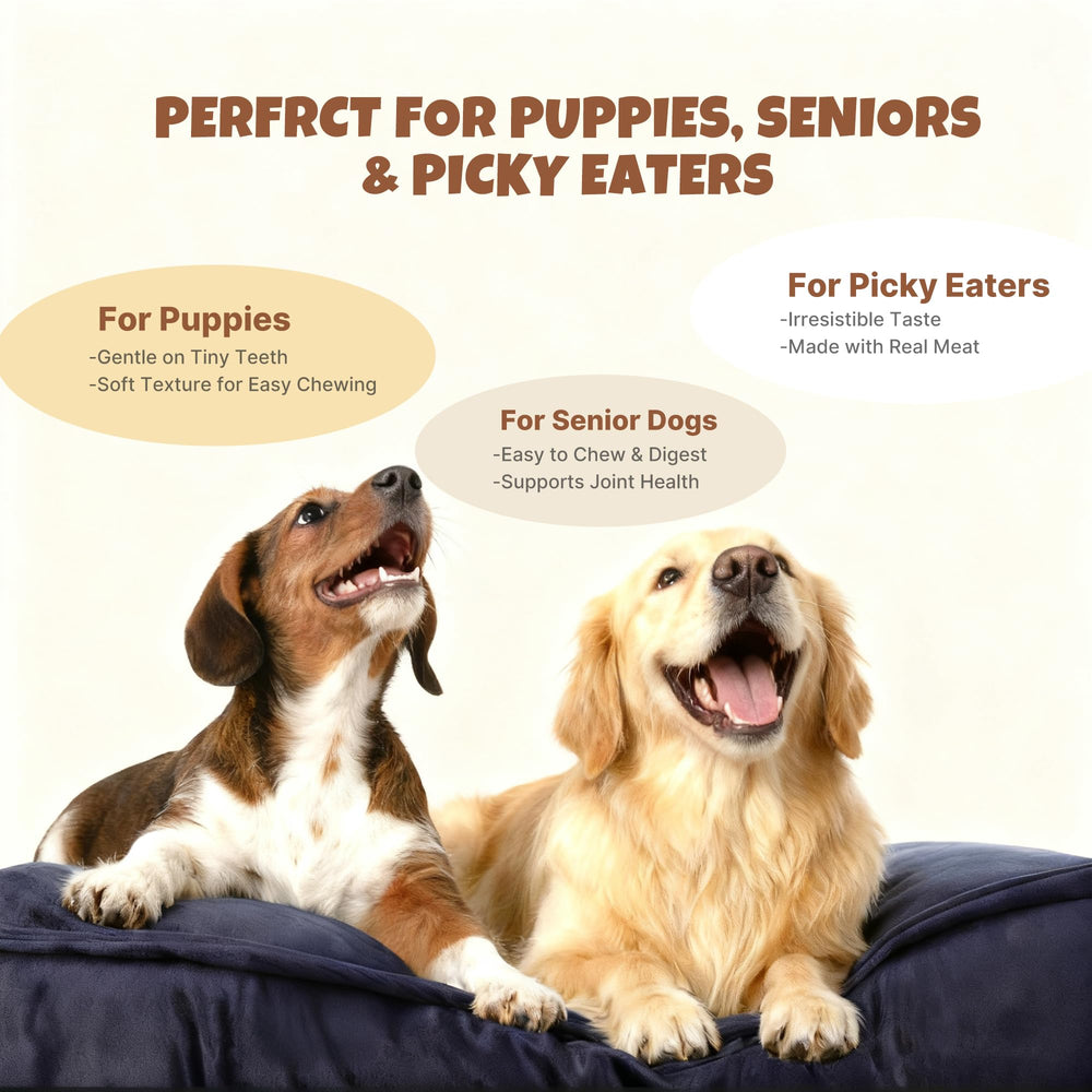 Utilisation récompense M-PETS pour chiens lors de jeux.