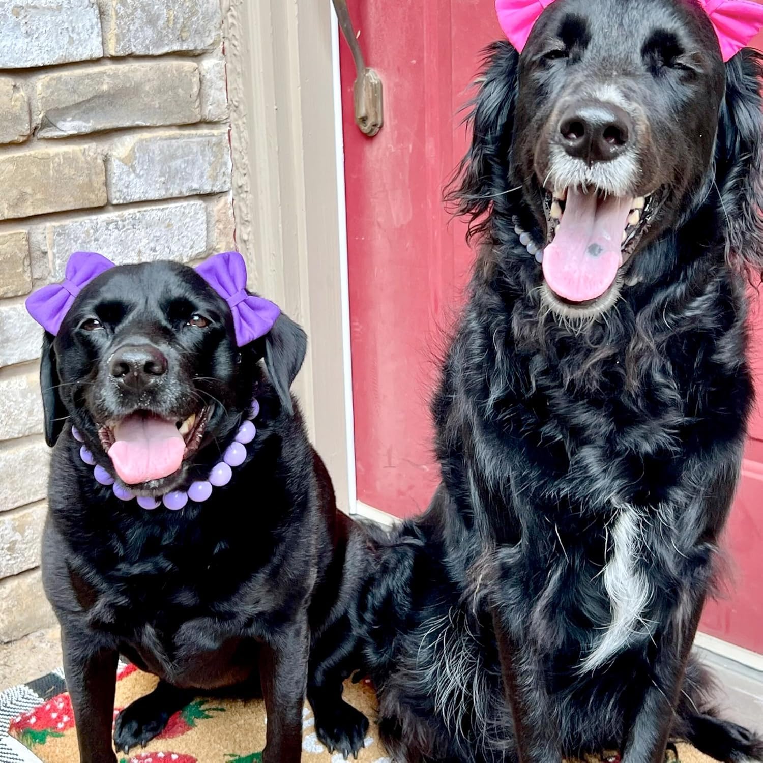 mqajdv accessoire pour chien — ensemble noeuds doubles, pratique en photo