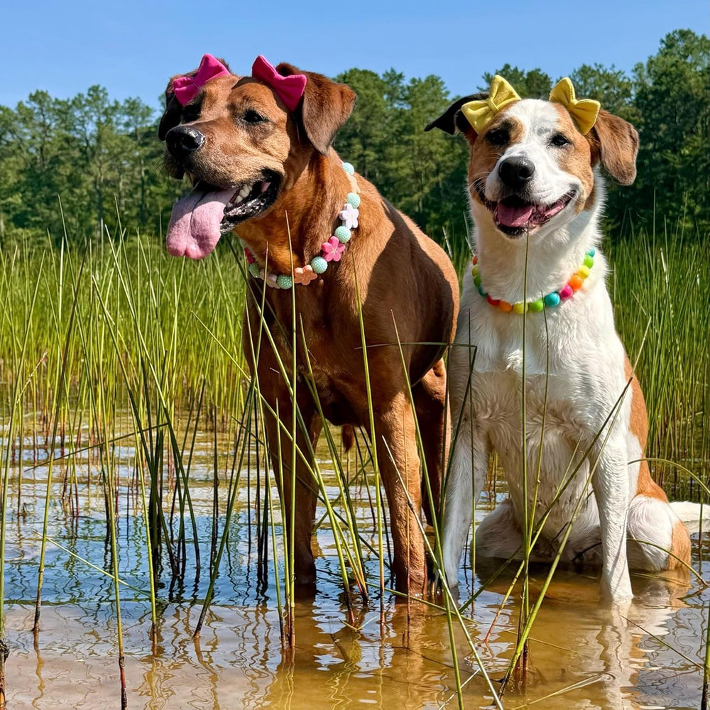 mqajdv serre-tête elastique ajustable pour chien, ajuste sécurisé