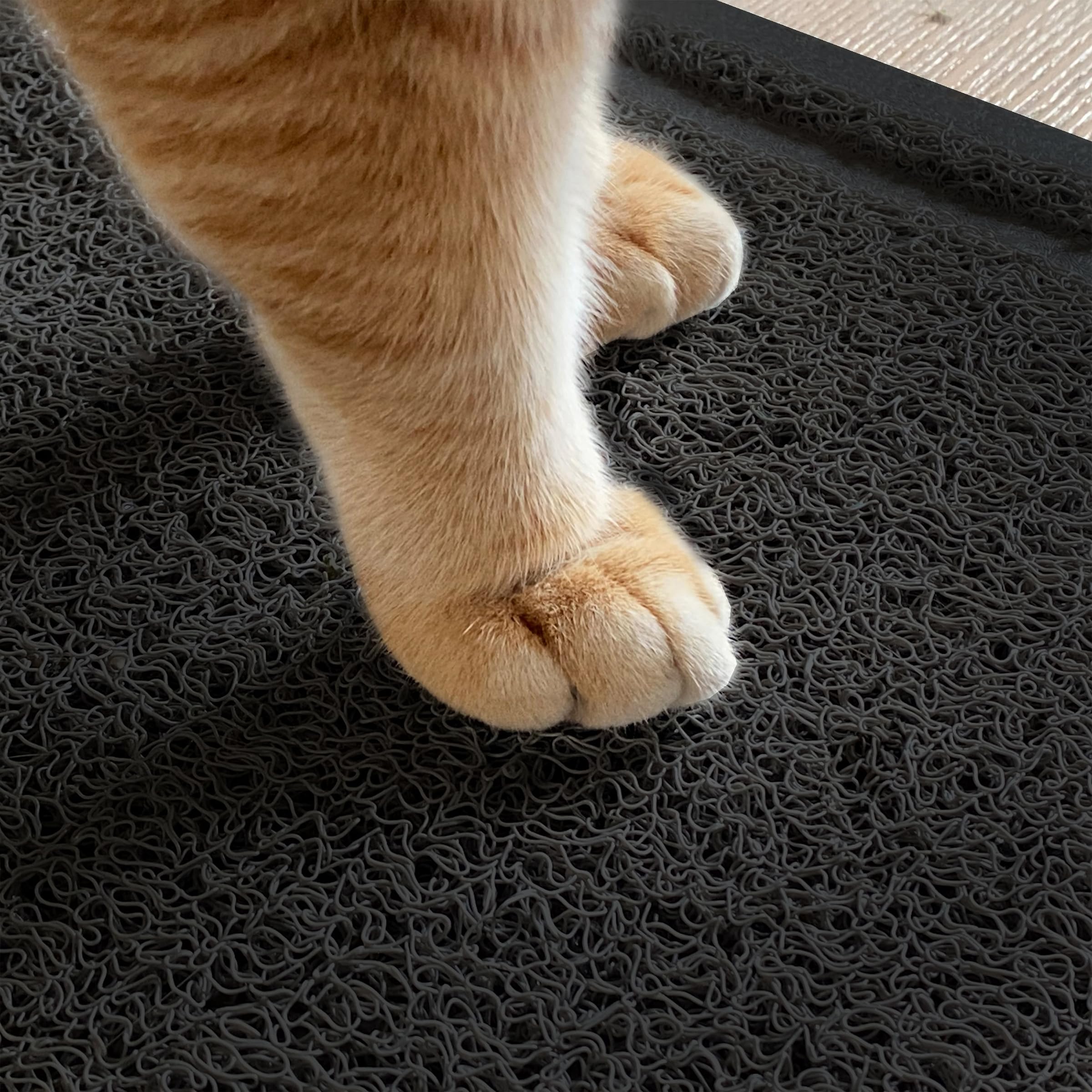 Mr. Pen tapis litière grand noir résistance usage quotidien.