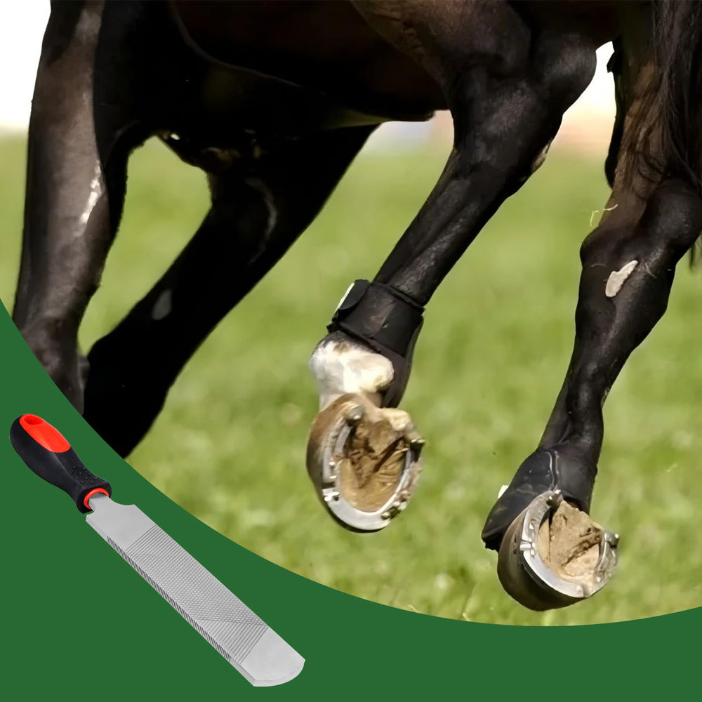Acier au carbone durable Mriuuod, longue vie utile pour entretien pro.