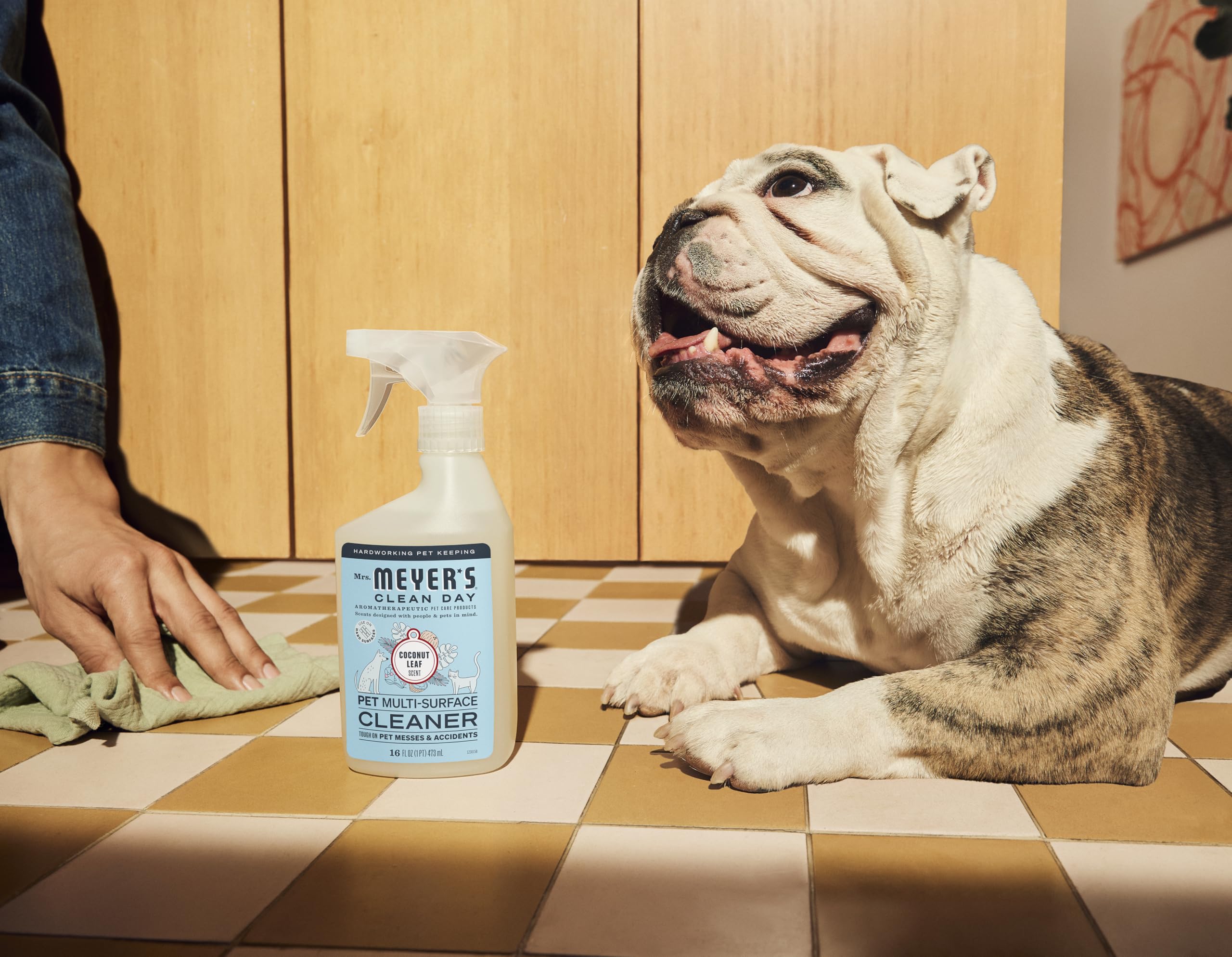 Senteur Coco Feuille de Mrs. Meyer's pour un espace frais.
