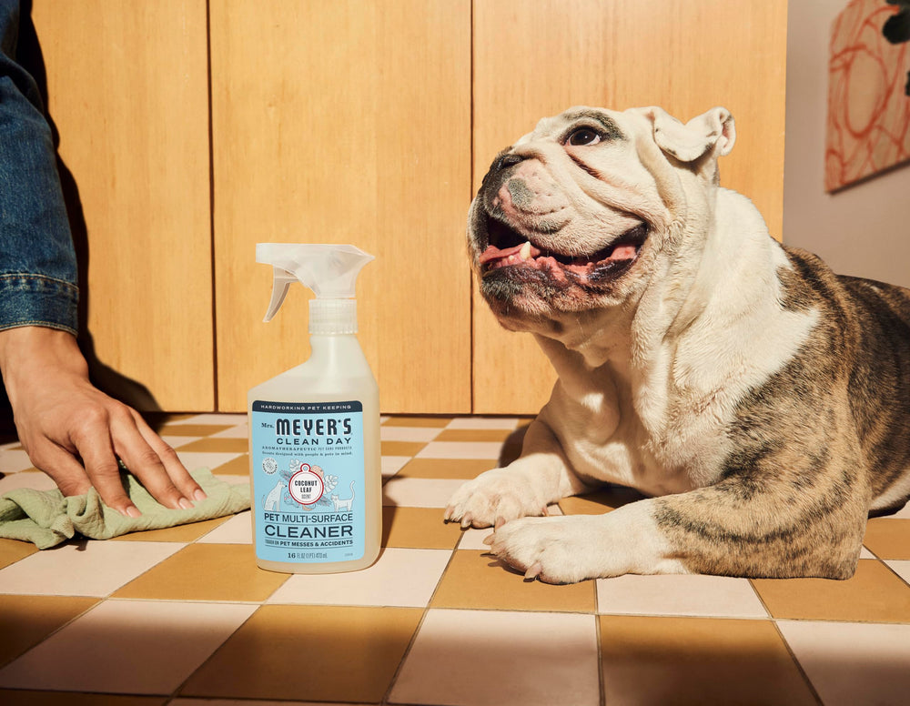 Senteur Coco Feuille de Mrs. Meyer's pour un espace frais.