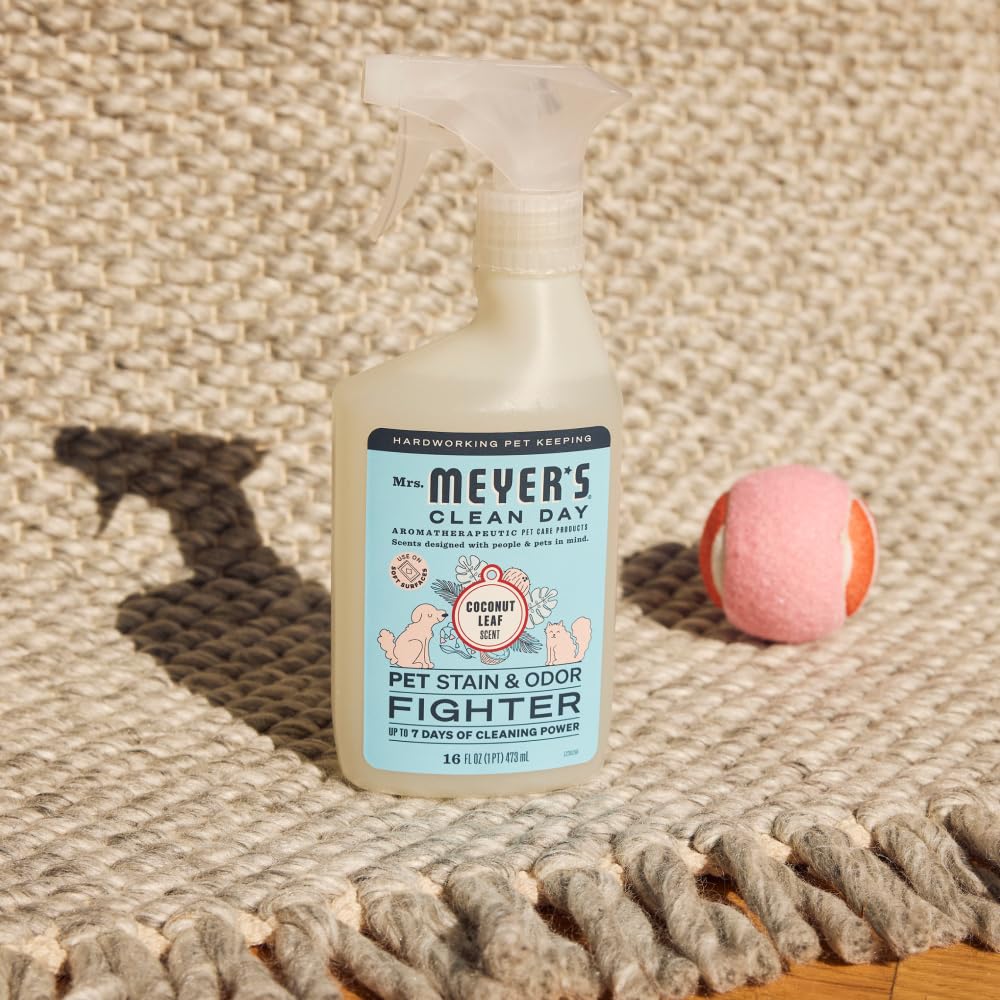 Senteur Coconut Leaf apporte une ambiance tropicale légère