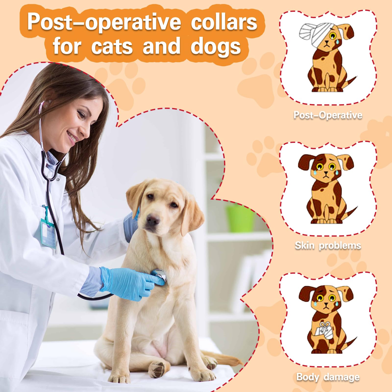 Collier MRSOHRET anti-lick au design pastèque, protection efficace.
