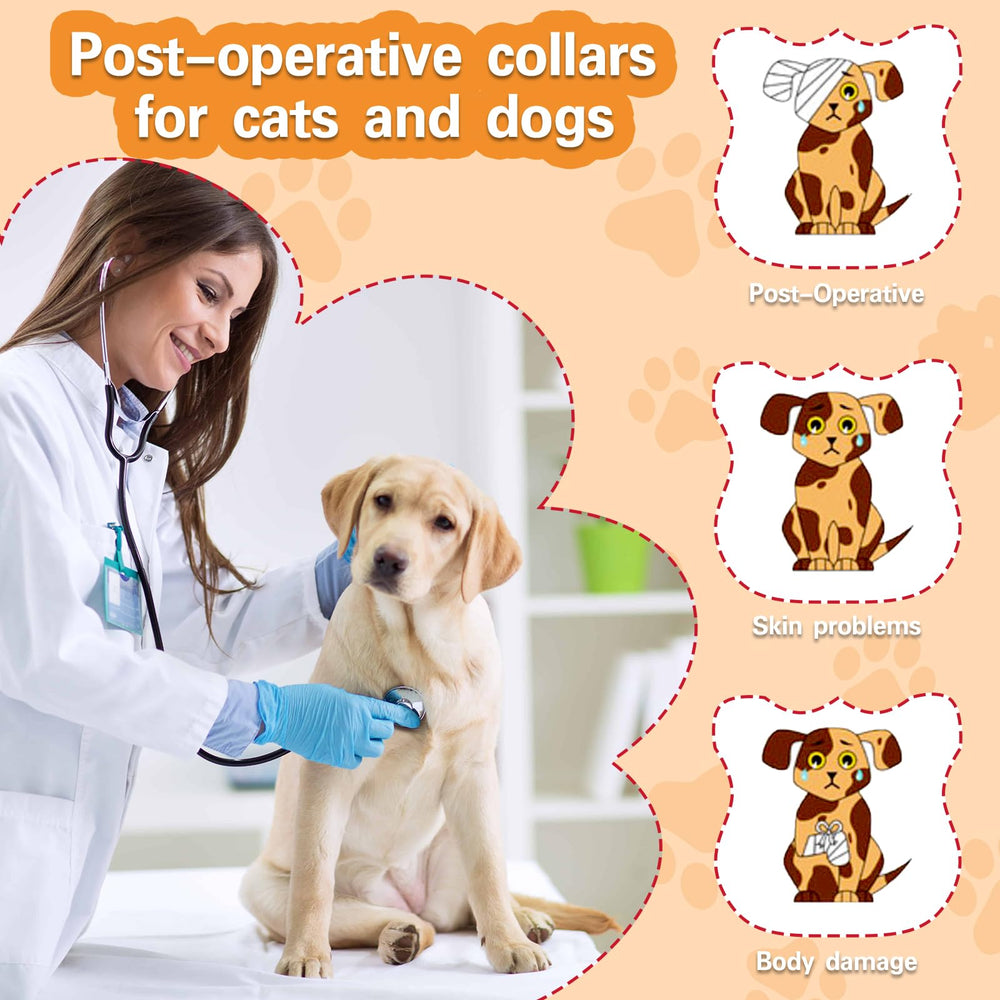 Collier MRSOHRET anti-lick au design pastèque, protection efficace.