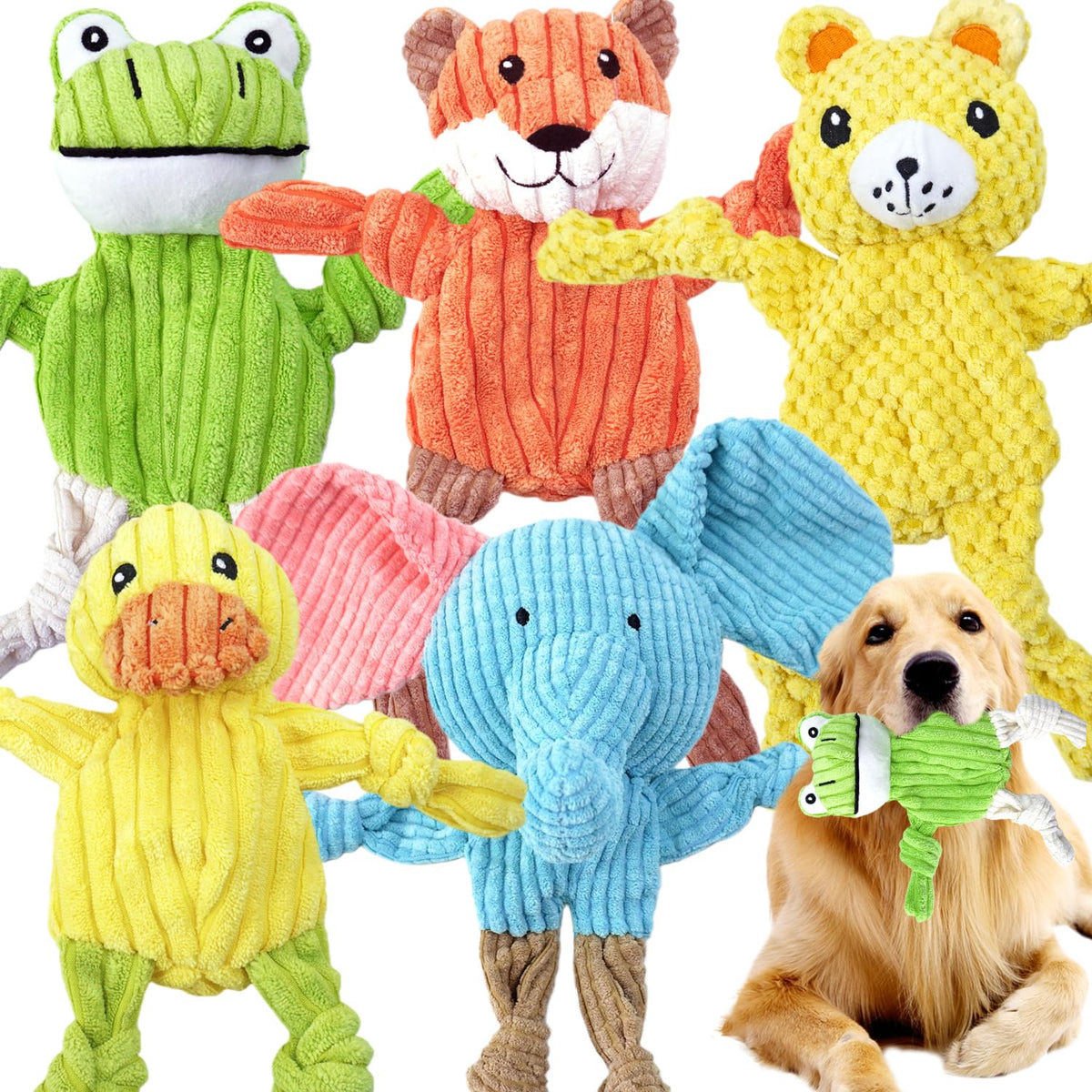 Ensemble de 5 jouets pour chien MRSOHRET sans rembourrage pour distraction durable.