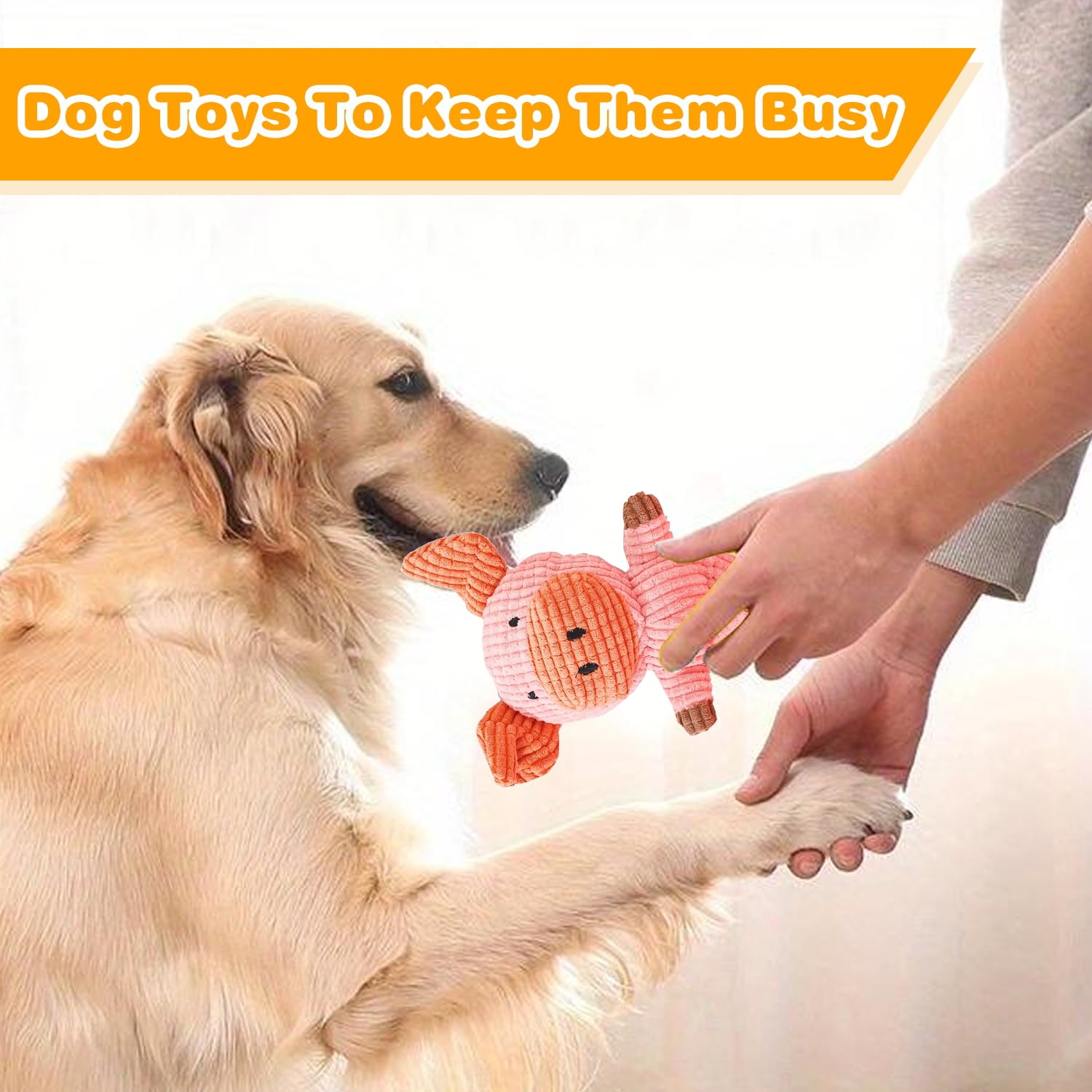 Ensemble de cinq jouets MRSOHRET, variété et durabilité pour chien.