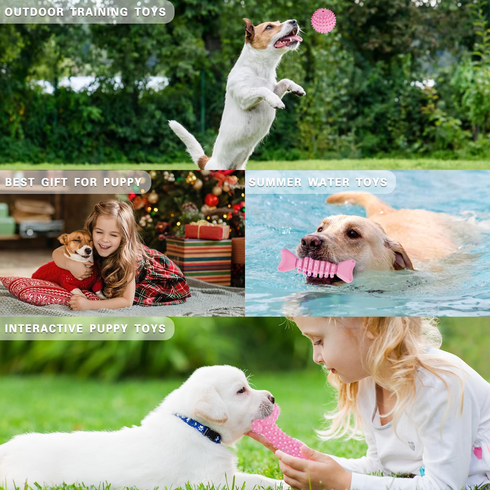MRSOHRET ensemble jouets chiots : variété adaptée pour apaiser l'ennui et varier les jeux.