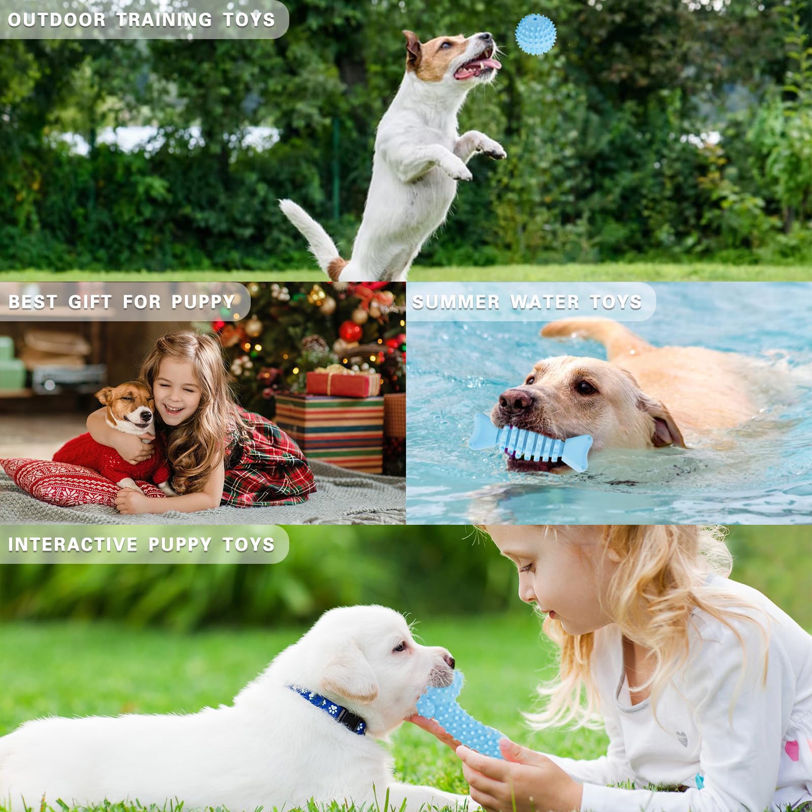 Jouet interactif MRSOHRET pour chiot bleu, renforce le lien lors des jeux partagés.