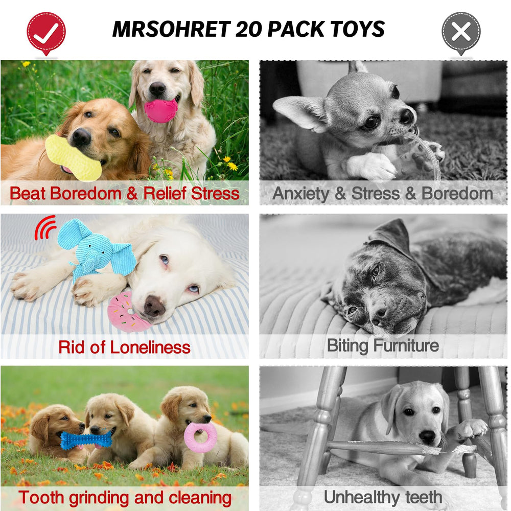 MRSOHRET panier de rangement pour jouets et accessoires chien