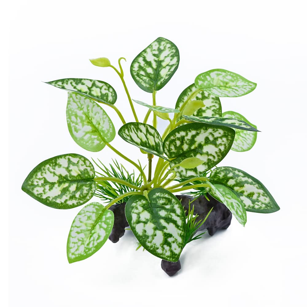 Base en résine MRTIOO offrant stabilité dans le terrarium.