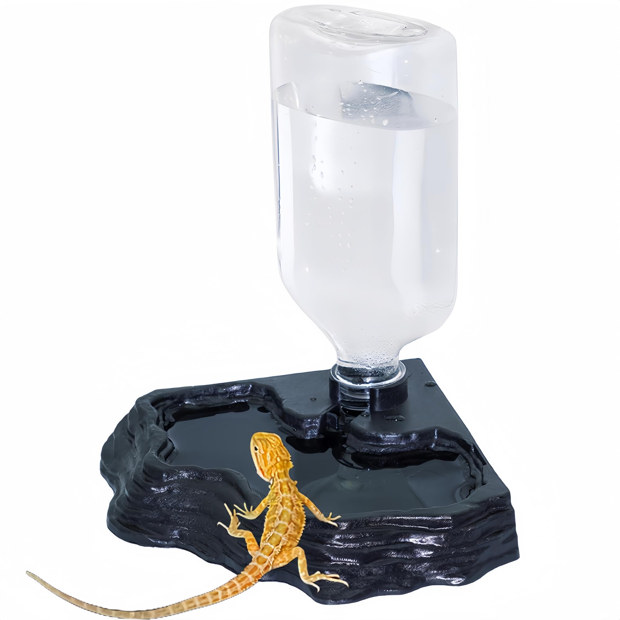 La MRTIOO bouteille-terarium plat 17oz, facile à dissimuler derrière des plantes décoratives.