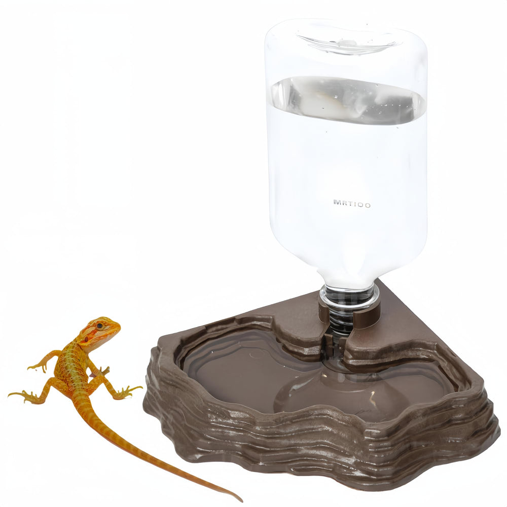 MRTIOO bouteille-terarium plat 17oz, visibilité du niveau d'eau pour l'hydratation fiable.