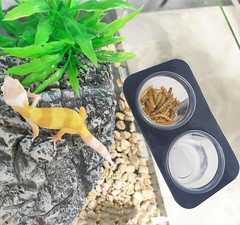 MRTIOO dispositif eau et nourriture pratique pour petits animaux actifs.
