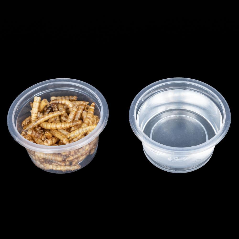 Gobelet MRTIOO distributeur pour petits animaux, organisation facile.