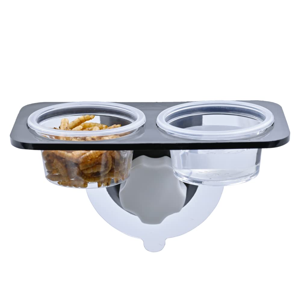 Utilisation polyvalente des gobelets MRTIOO, alimentation et liquides.