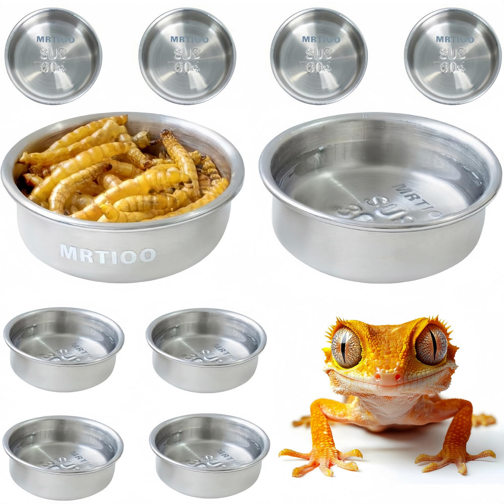 Gobelets MRTIOO en inox 304 de 14 g, durables pour petits reptiles.
