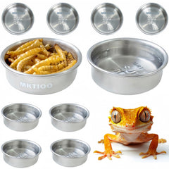 Gobelets MRTIOO en inox 304 de 14 g, durables pour petits reptiles.