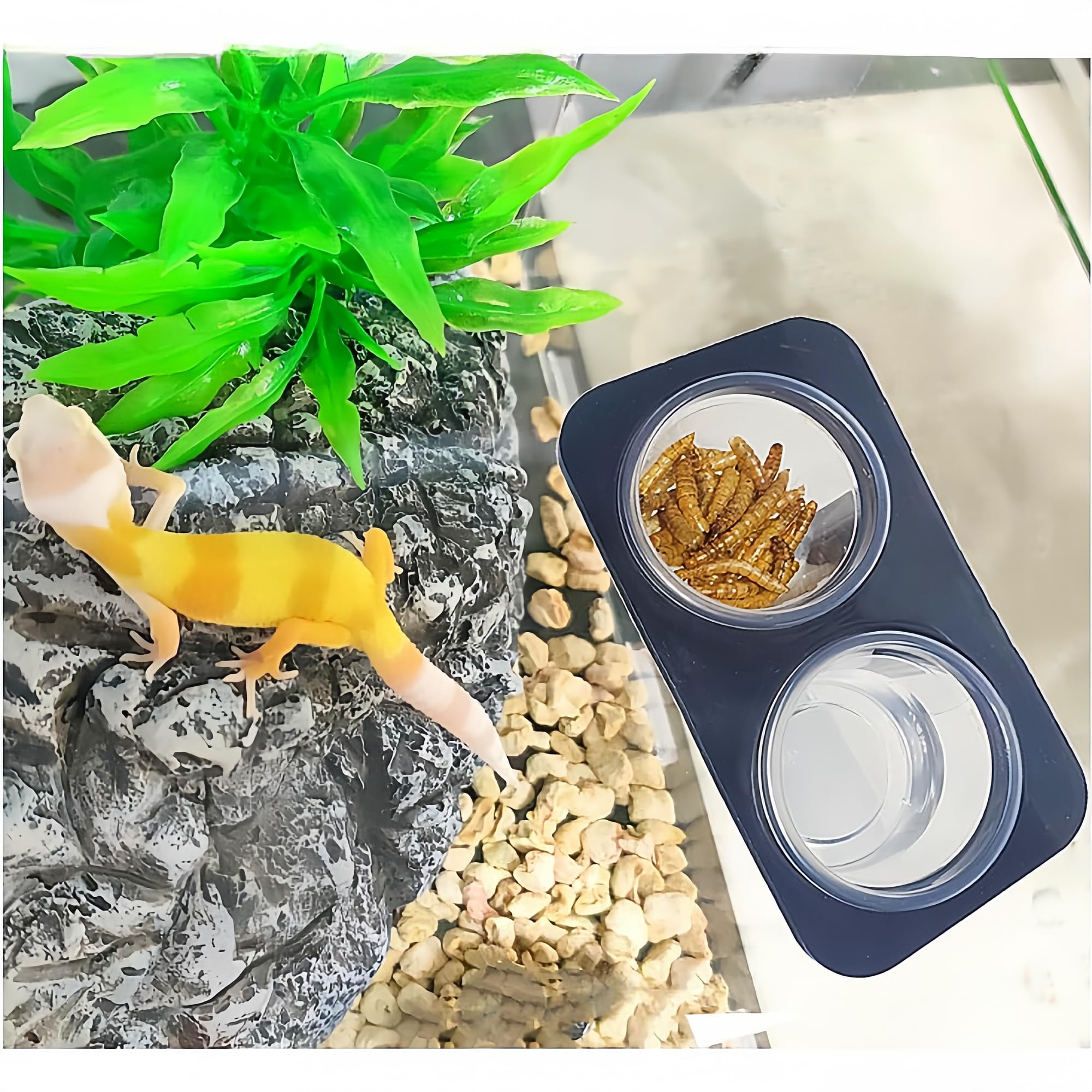 Gobelets MRTIOO polyvalents pour snacks, liquides et petites pilules.
