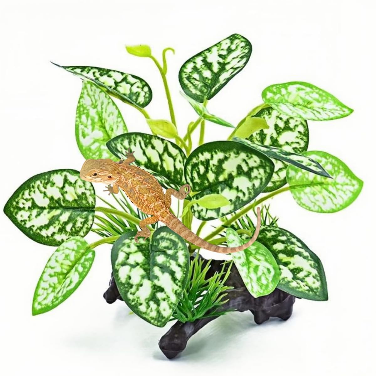 Plantes MRTIOO avec grandes feuilles réalistes pour terrarium et aquarium.