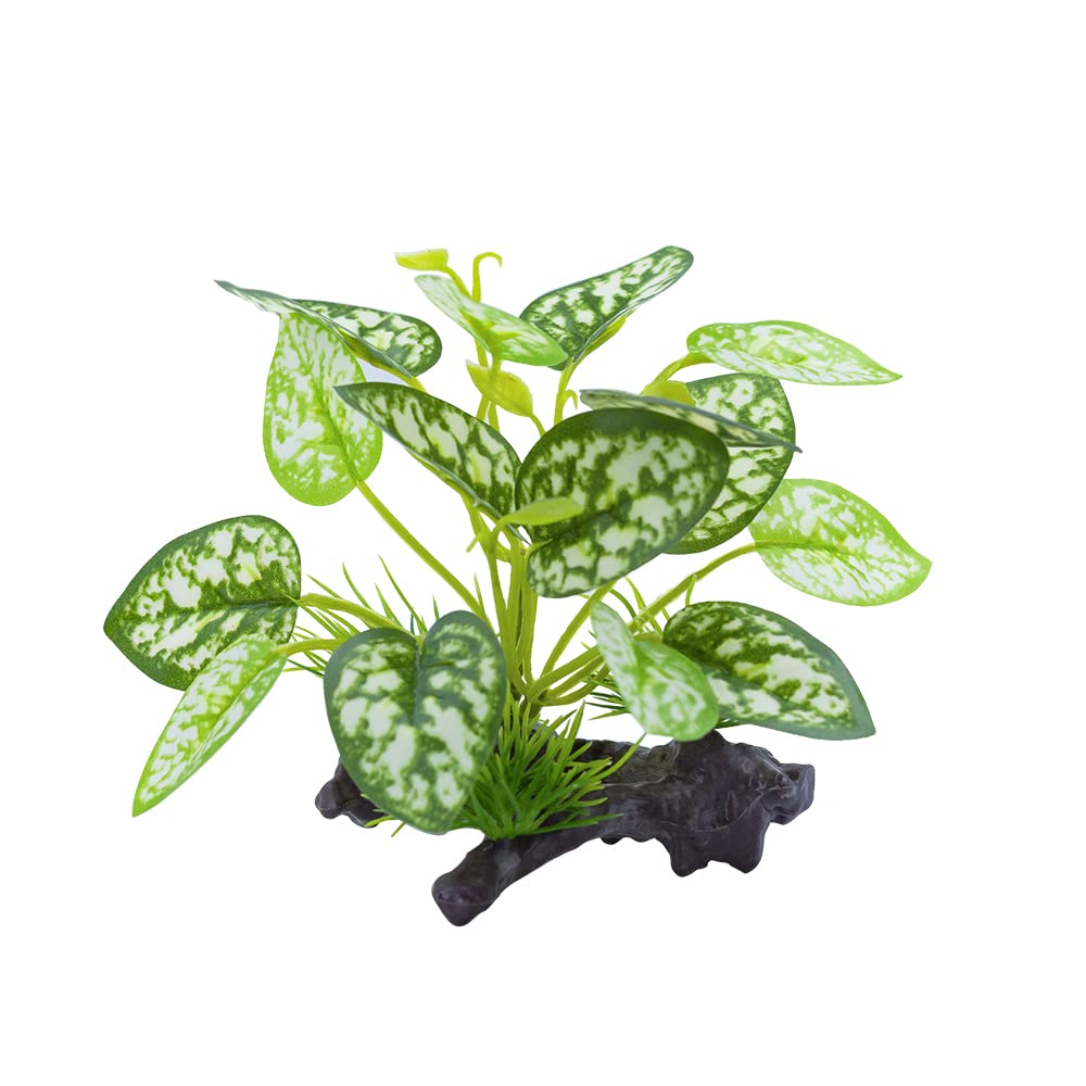 Utilisation multi-habitat MRTIOO pour reptiles et amphibiens.