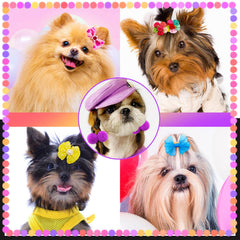 Barrettes Mruq pet avec rhinestones et perles, éclatant pour les fêtes.