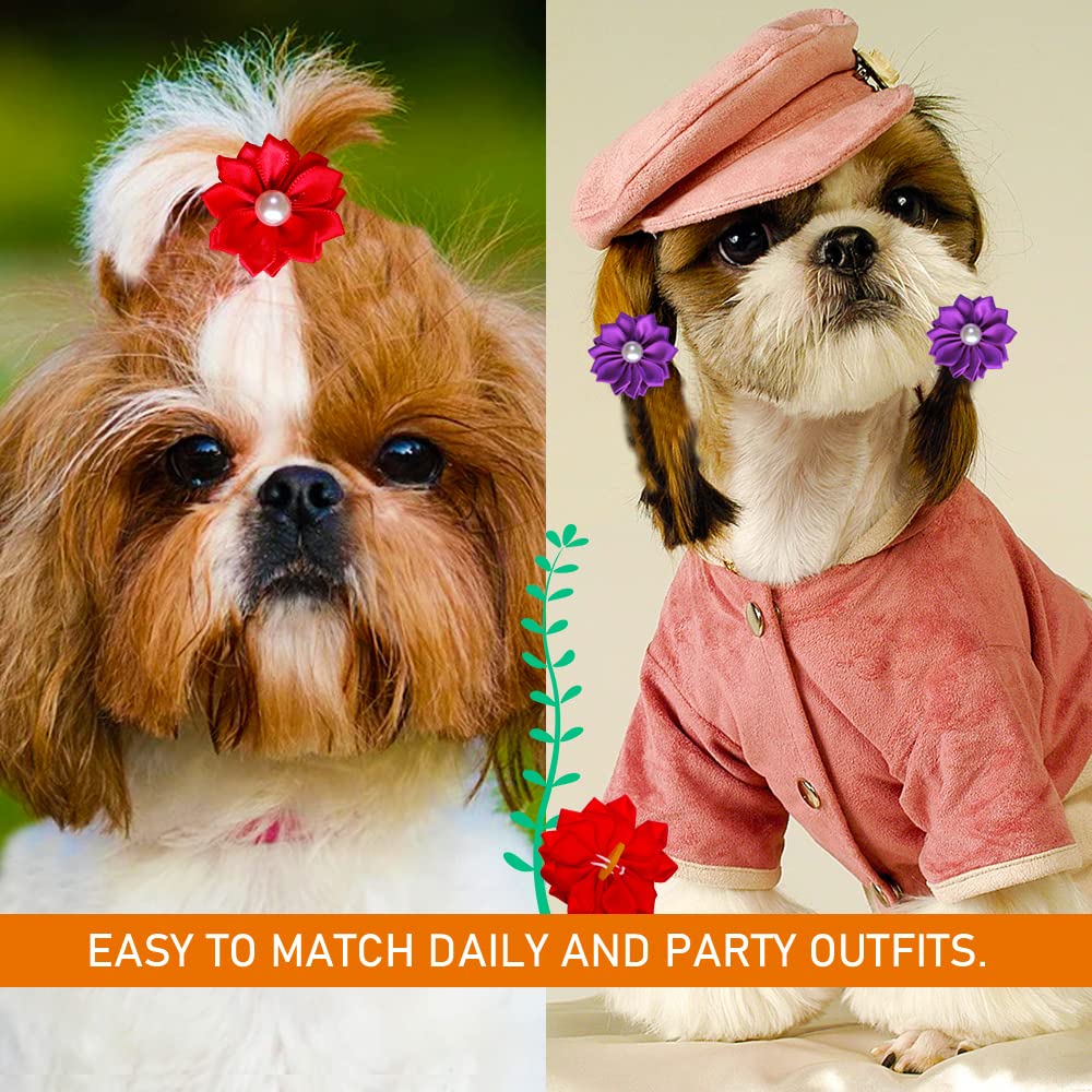 Broches mini-taille 4cm Mruq Pet, parfaites pour petits chiens.