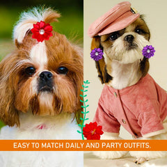 Broches mini-taille 4cm Mruq Pet, parfaites pour petits chiens.