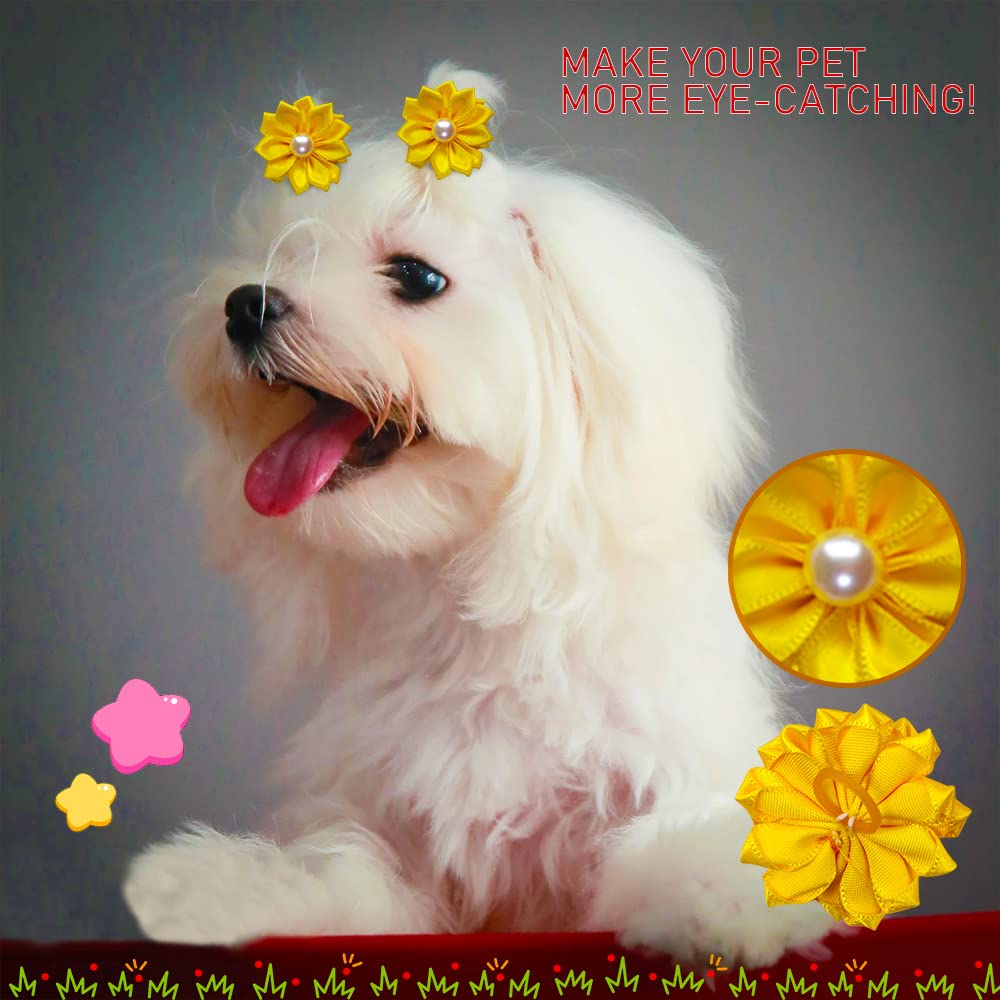 Broches motifs-varies Mruq Pet, options festives et quotidiennes.