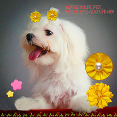 Broches motifs-varies Mruq Pet, options festives et quotidiennes.