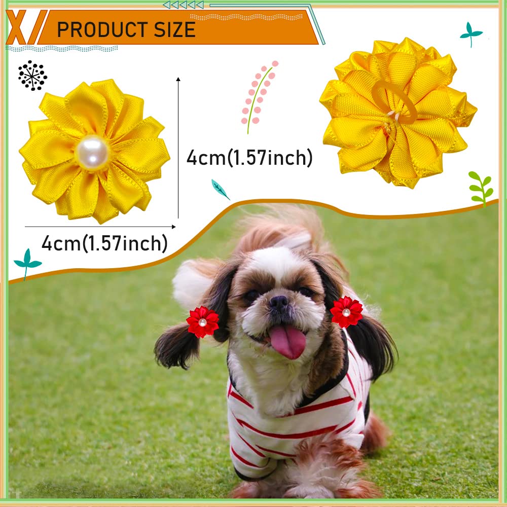 Broches aspect-quotidien Mruq Pet, idéal pour balades et photos.