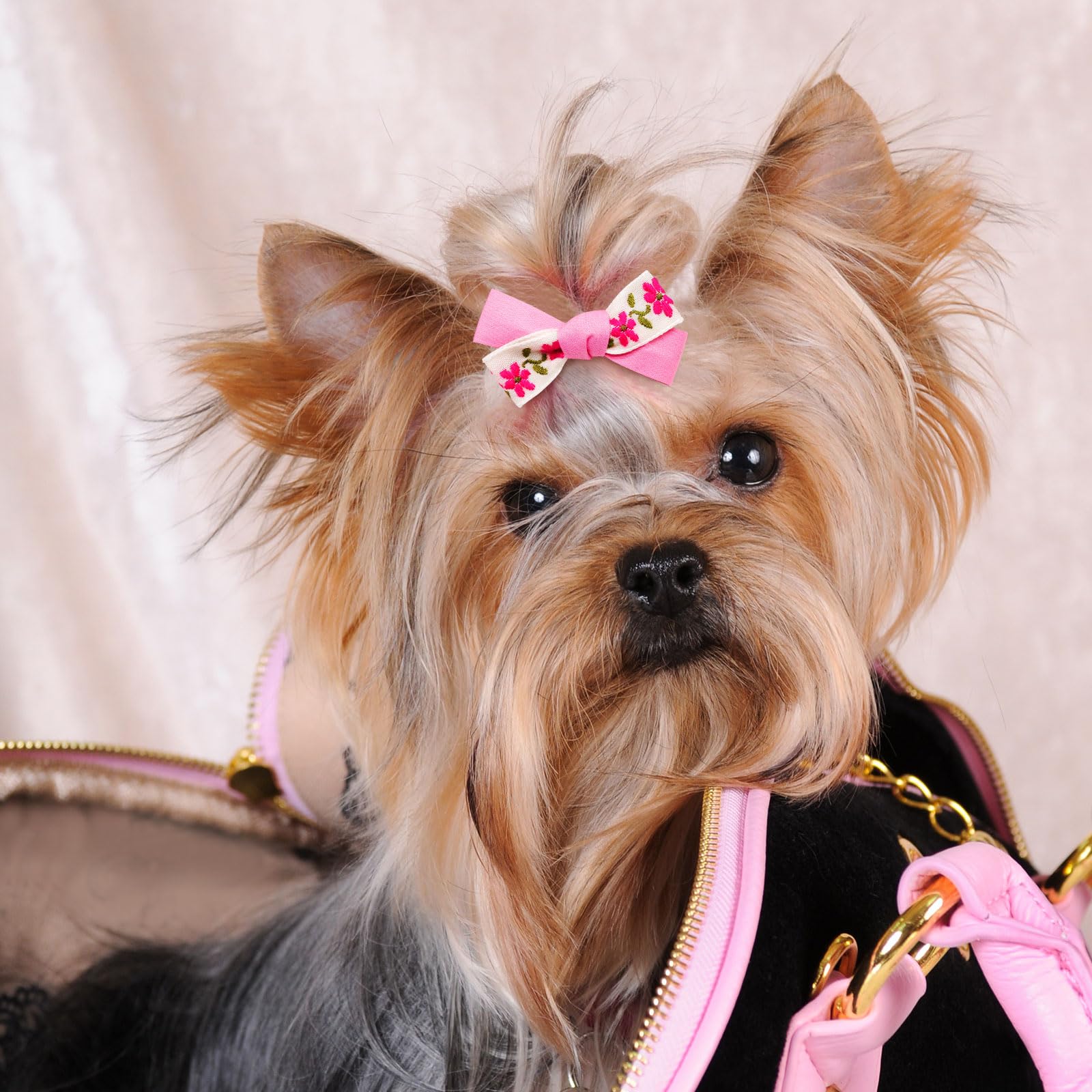 Détails strass et perles Mruq Pet, touche chic pour chien
