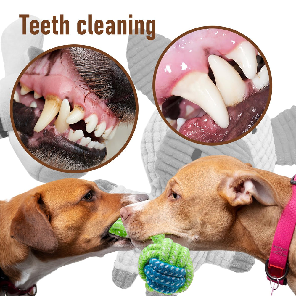 Jouets corde dentition Mruq pet pour chiot, aide à soulager les gencives.