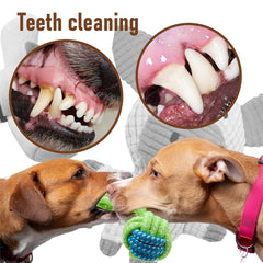Jouets corde dentition Mruq pet pour chiot, aide à soulager les gencives.