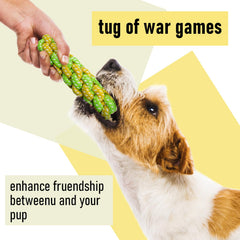 Jouets Mruq pet couleurs vives et motifs variés pour stimulation visuelle.