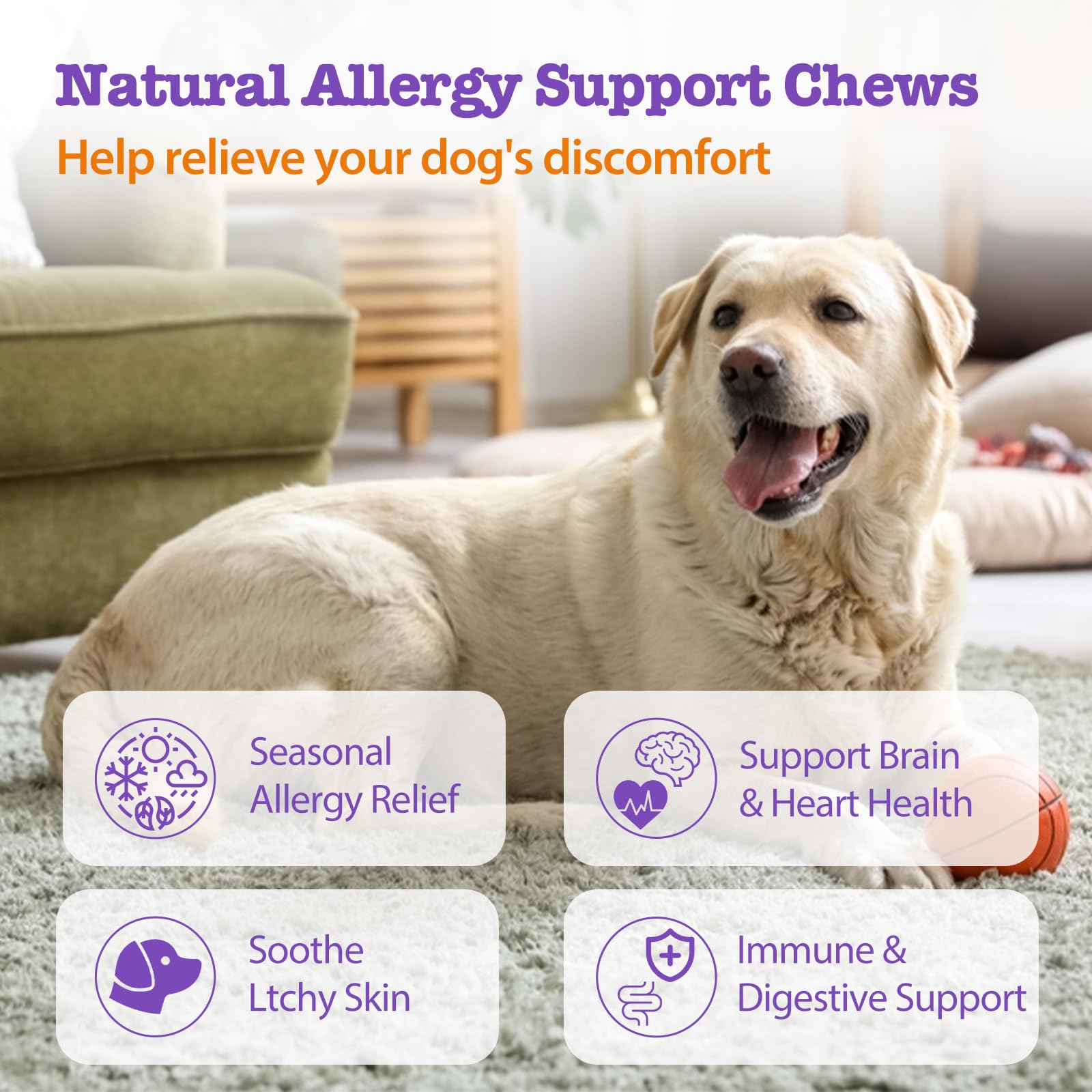 Mshuheene Chews allergie chien - peau et pelage plus sains.