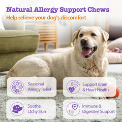 Mshuheene Chews allergie chien - peau et pelage plus sains.