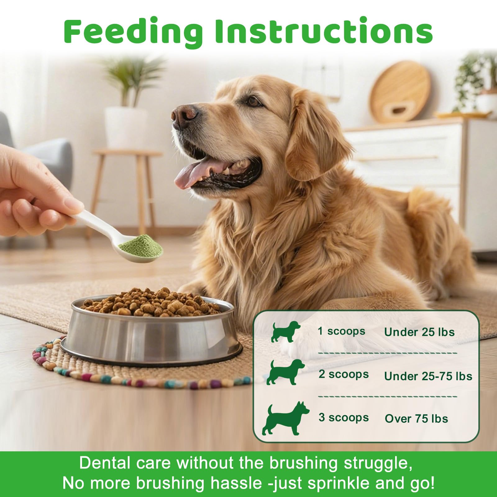 Haleine fraîche avec la poudre dentaire Mshuheene pour chien.