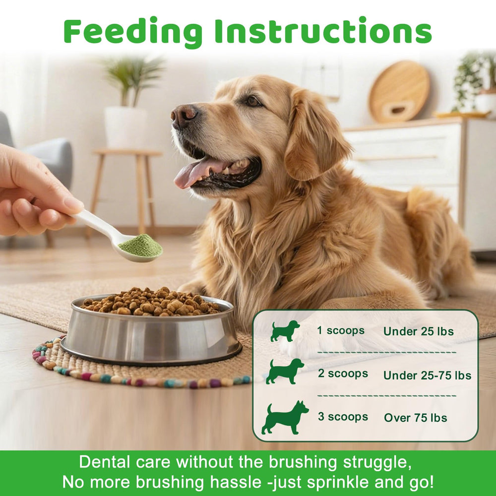Haleine fraîche avec la poudre dentaire Mshuheene pour chien.