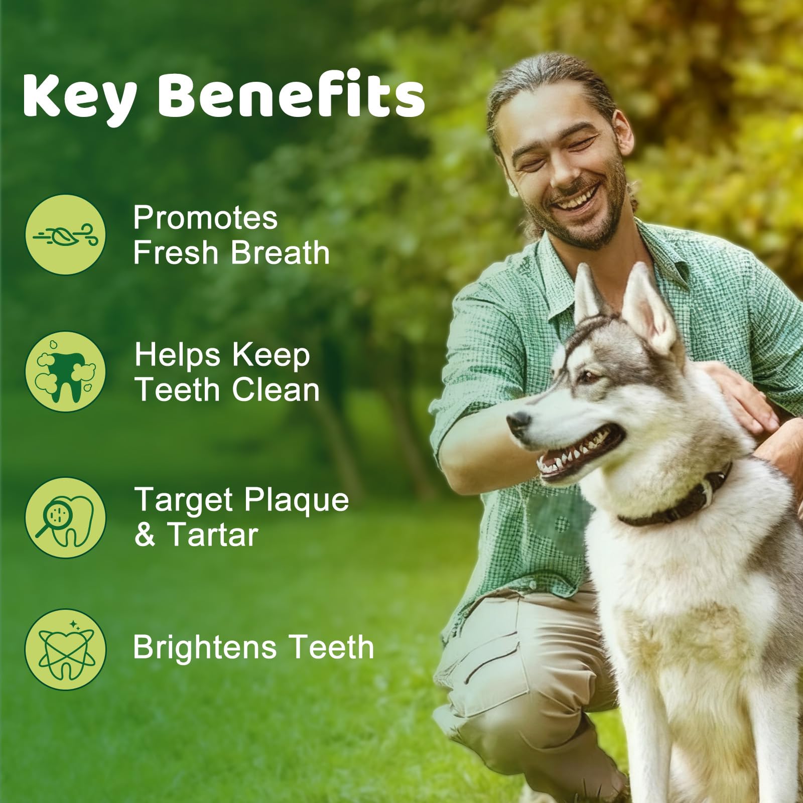 Mshuheene poudre dentaire chien, mélange d'herbes naturelles pour l'hygiène.