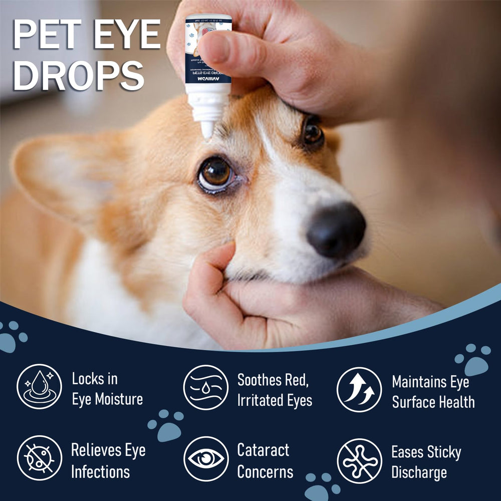 Msktasy gouttes-yeux, application facile pour chiens et chats, confort potentiel.