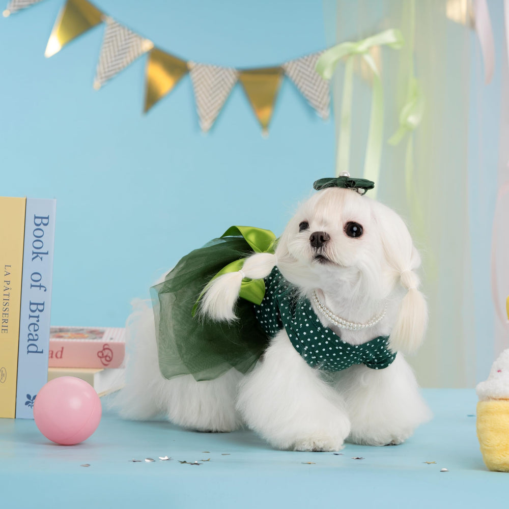 MSNFOASM jupon tutu duveteux, léger et aérien pour une allure adorable.